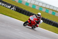 PJ-Motorsport-2019;anglesey-no-limits-trackday;anglesey-photographs;anglesey-trackday-photographs;enduro-digital-images;event-digital-images;eventdigitalimages;no-limits-trackdays;peter-wileman-photography;racing-digital-images;trac-mon;trackday-digital-images;trackday-photos;ty-croes